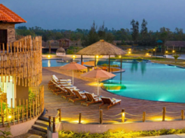 sundarban tour operator