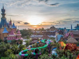 Why Book Vietnam Tour Packages with Flamingo Transworld in 2026 Vietnam Tour Packages with Flamingo Transworld