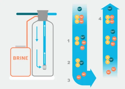 sediment & carbon filtration